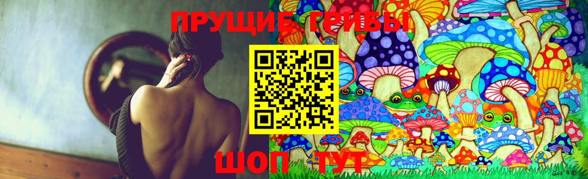 Галлюциногенные грибы Magic Shrooms  Вход с VPN  Сосновый Бор 
