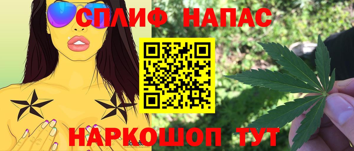 Каннабис сатива Сосновый Бор